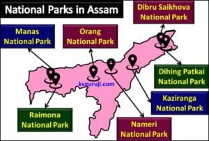 National Parks in Assam Map (Dibru Saikhova)