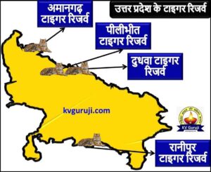 Tiger Reserves in Uttar Pradesh Map