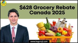 Grocery Rebate Canada 2025 November, Payment Dates, Eligibility All Details