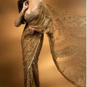 Antique Gold Net Designer Saree